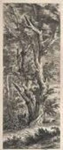 Les Deux Grands Arbres. Les Deux Grands Arbres.