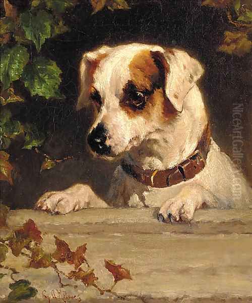 An inquisitive terrier - view 1