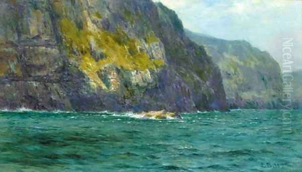 Cliffs of St. Kilda - view 1