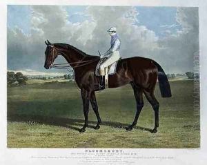 Bloomsbury the Winner of the Derby Stakes at Epsom Bloomsbury the Winner of the Derby Stakes at Epsom