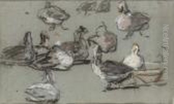 Groupe De Canards - view 1