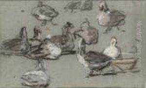 Groupe De Canards