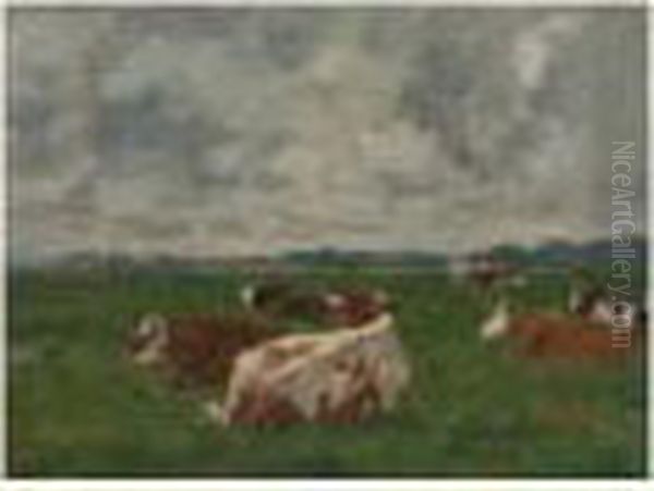 Vaches Au Repos - view 1