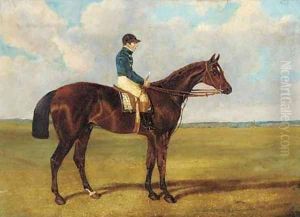 A bay racehorse with jockey up