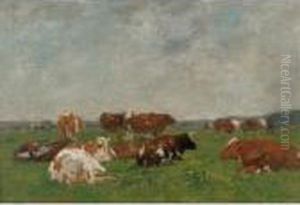 Vaches A La Paturage