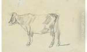 Etude De Vache by Eugene Boudin