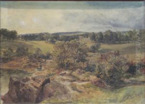 Distant Castle