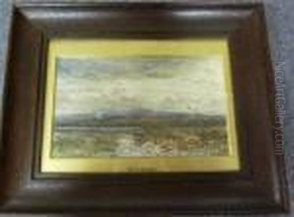 Wetland Landscape With Mountains Beyond - view 1