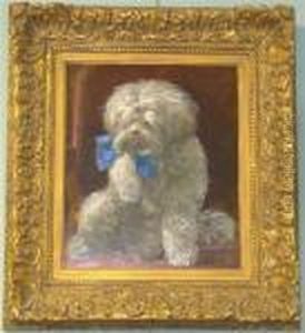 The Dog Pixie by Samuel Bough