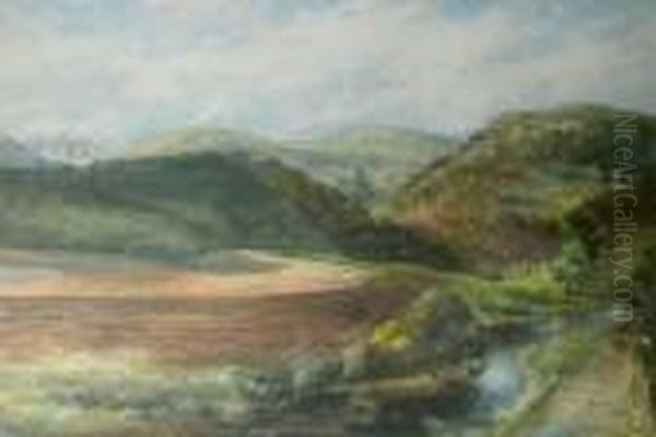 The Vale Of Clyde - view 1