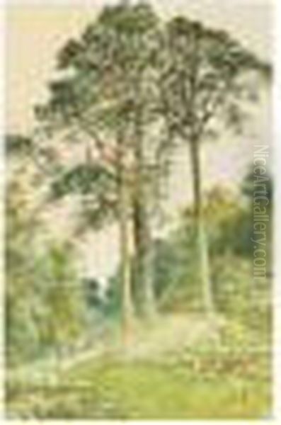 Untitled - view 1