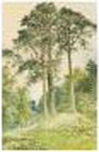 Family Resting In A Forest Clearing