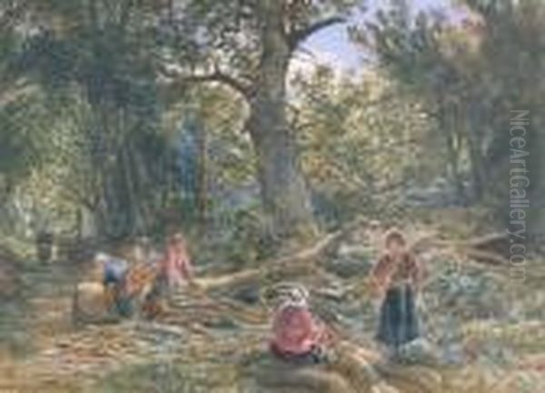 Women Gathering Firewood In A Forest - view 1