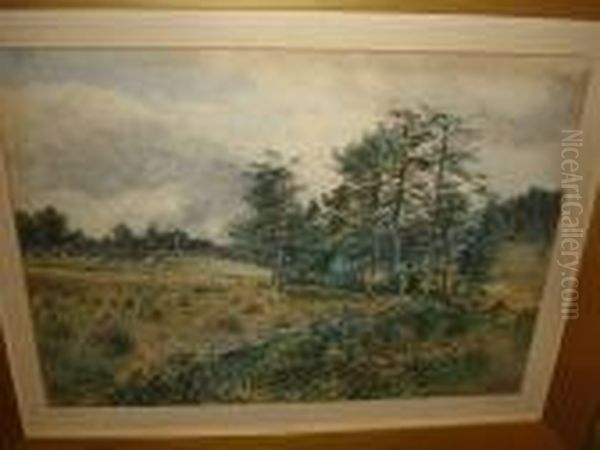 Harvest - view 1