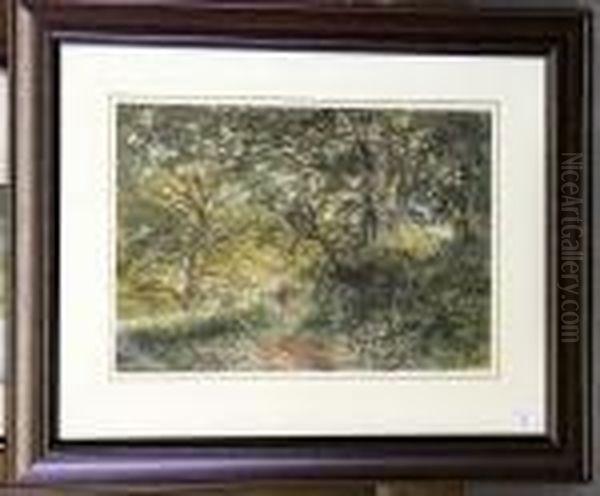 Woodland Scene - view 1