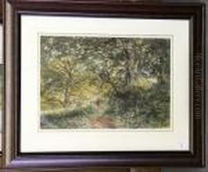 Woodland Scene Woodland Scene