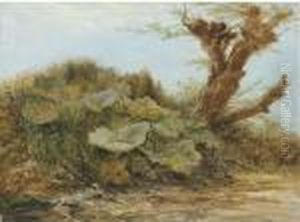 Study Of A Butter Burr And A Pollarded Willow by Samuel Bough