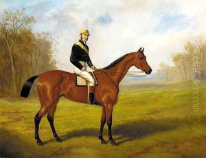 A racehorse with jockey up