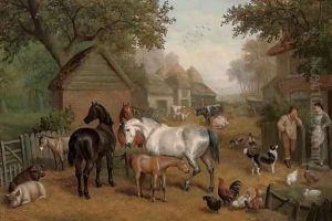 A rural farmyard