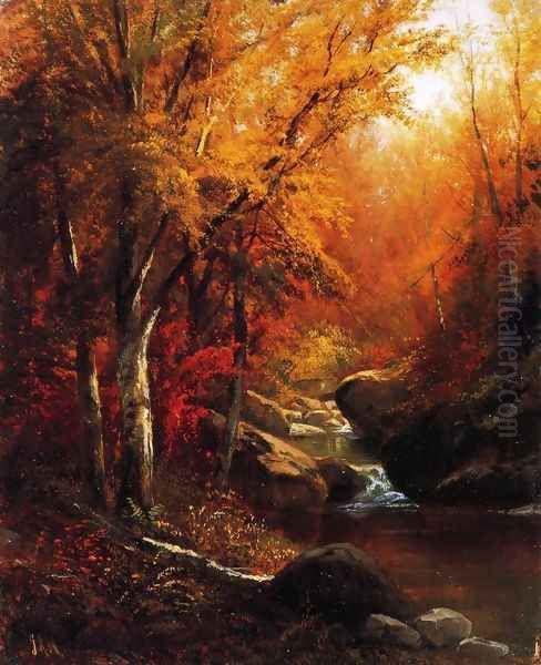 Mountain Stream - view 1