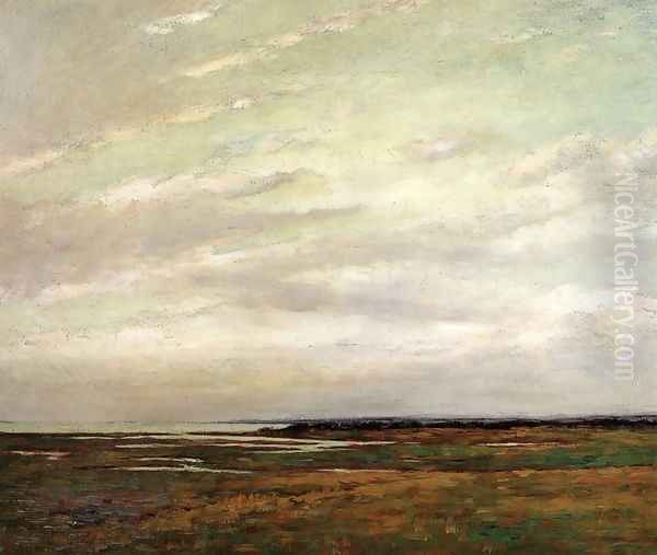 Salt Marshes of Northern New Jersey - view 1
