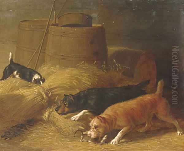 Rats amongst the Barley Sheaves - view 1