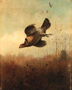 An American Grouse by Thomas Hewes Hinckley