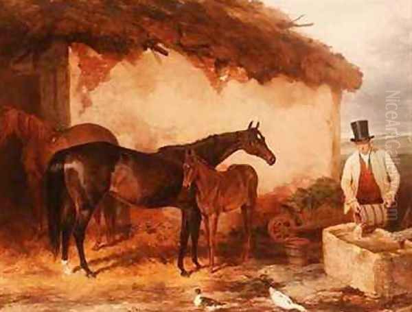 The Mare Perhaps with her foal - view 1