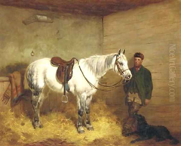 A saddled grey pony and groom in a stable with a retriever - view 1