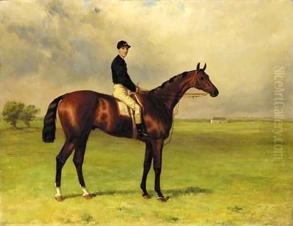 Mr Angell's Scarboro with Parry up at Newmarket - view 1