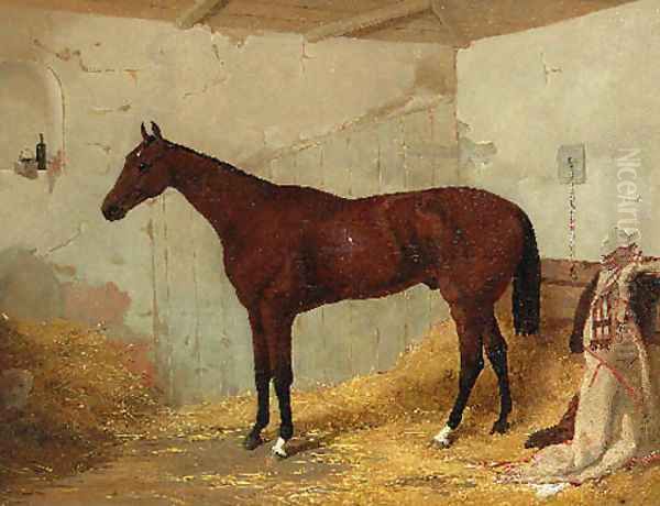 A Bay Racehorse in a Stable - view 1