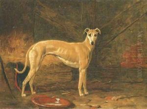 Coomassie, winner of The Waterloo Cup in 1877 and 1878 by Harry Hall