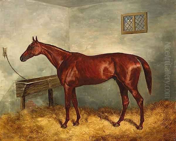 Thunderbolt, a chestnut racehorse in a stable - view 1