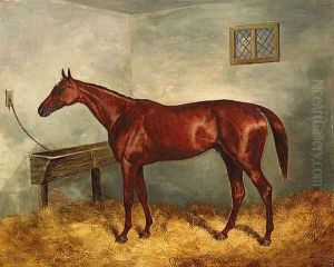Thunderbolt, a chestnut racehorse in a stable