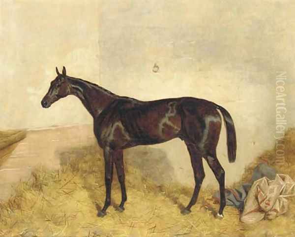 A dark bay racehorse in a loosebox - view 1