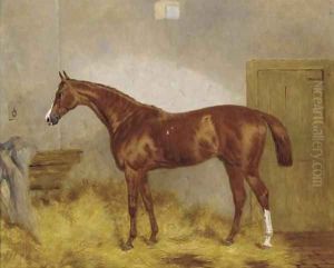 Cymbal, a chestnut racehorse in a stable