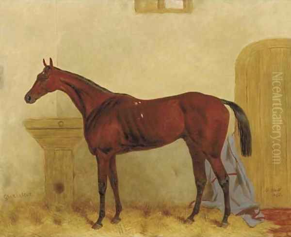 Gladiateur a Bay racehorse in a stable - view 1