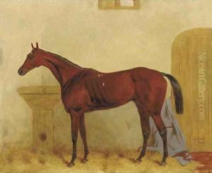 Gladiateur a Bay racehorse in a stable by Harry Hall