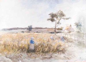 Cornfield at Panbride, Carnoustie Cornfield at Panbride, Carnoustie