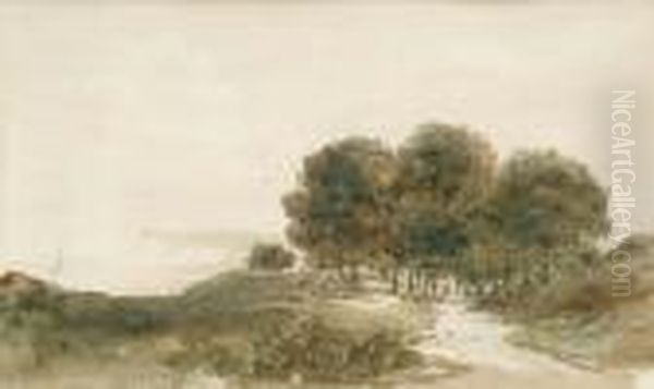 Rural Landscape - view 1