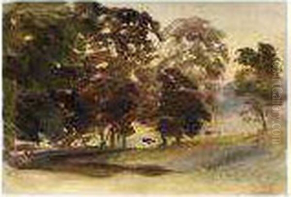 Trees In A Park - view 1