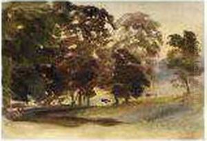 Trees In A Park by Thomas Shotter Boys