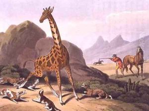Hunting the Camelopard by Samuel Howitt