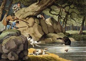 North America Bear Hunt by Samuel Howitt