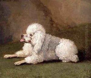 A Belgian Poodle by Filippo Hackert