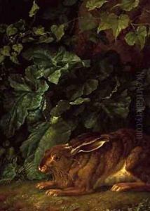 A Hare in Undergrowth