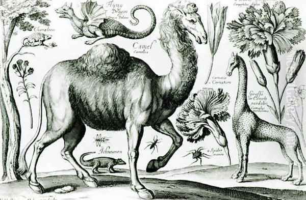 Study of Animals and Flowers - view 1