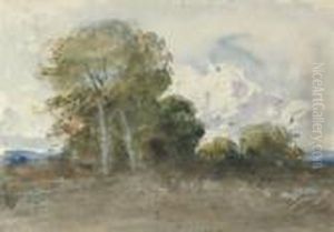 Homage To David Cox