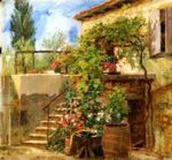 Paisaje - view 1