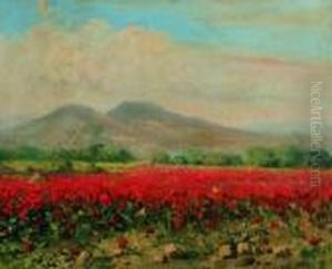 Il Mondo Dei Papaveri